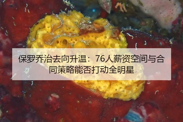 bao-luo-qiao-zhi-qu-xiang-sheng-wen-ren-xin-zi-kong-jian-yu-he-tong-ce-lve-neng-fou-da-dong-quan-ming-xing-2-192.jpg